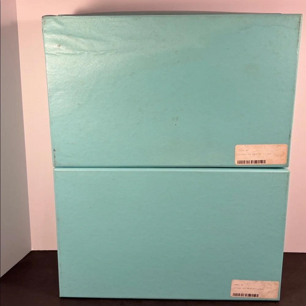 Tiffany & Co. Large Blue Storage Box Set (2) with Lids